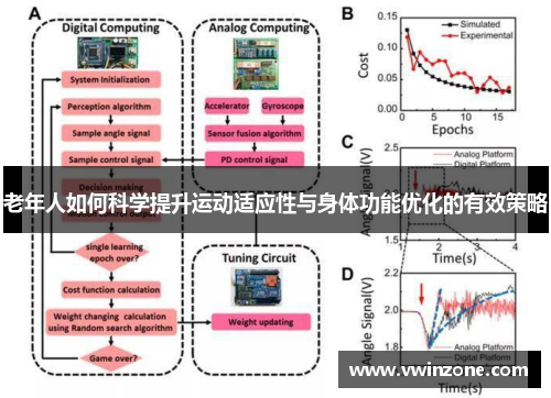 老年人如何科学提升运动适应性与身体功能优化的有效策略