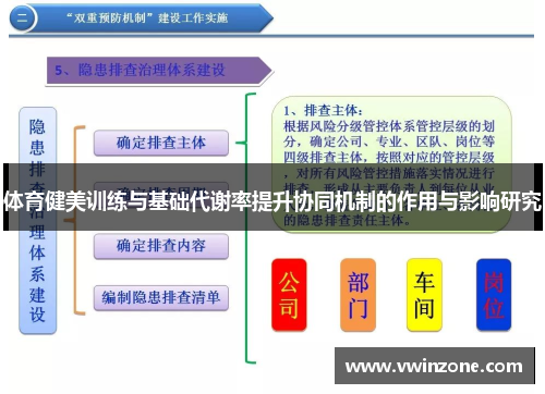 体育健美训练与基础代谢率提升协同机制的作用与影响研究